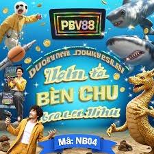 213 bet