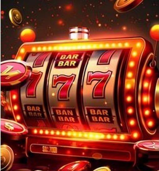 213 bet